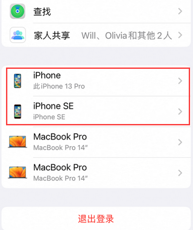 育才镇苹育才镇果维修网点分享iPhone如何查询序列号