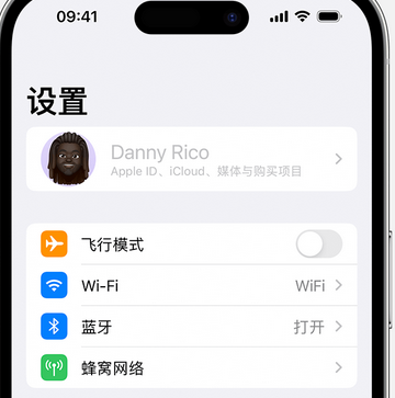 育才镇appleID维修服务iPhone设置中Apple ID显示为灰色无法使用 