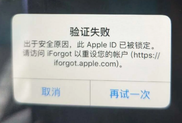 育才镇iPhone维修分享iPhone上正常登录或使用AppleID怎么办 