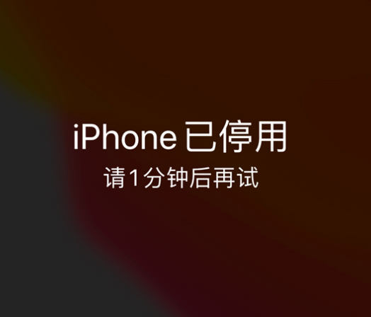 育才镇苹果手机维修分享:iPhone 显示“不可用”或“已停用”怎么办？还能保留数据吗？ 