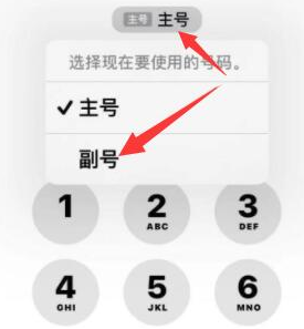 育才镇苹果14维修店分享iPhone 14 Pro Max使用副卡打电话的方法 