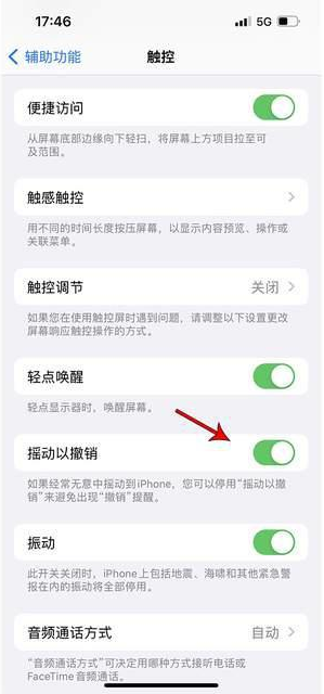 育才镇苹果手机维修分享iPhone手机如何设置摇一摇删除文字 